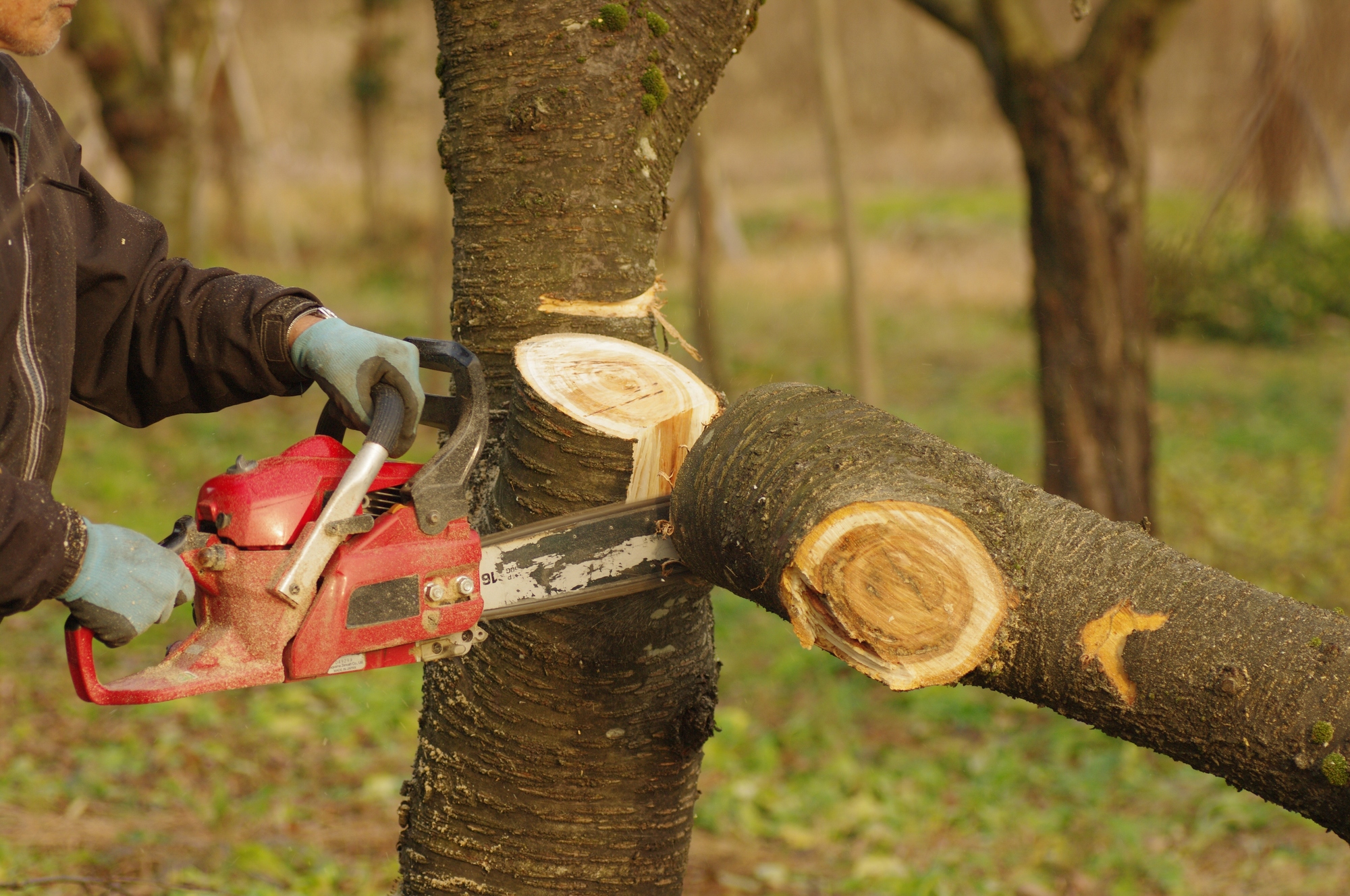 外構・エクステリアのサービス